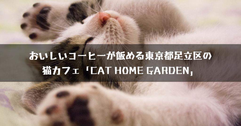 CAT HOME GARDEN（足立区の猫カフェ）